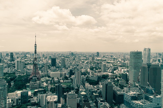 東京一戸建て新築相場と選び方のポイントや失敗しやすい注意点